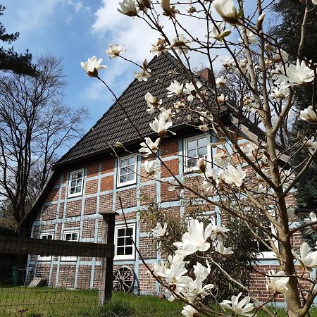 Schoenes Apartment Vor Den Toren Hamburgs - Keine Monteurwohnung Asendorf Екстер'єр фото